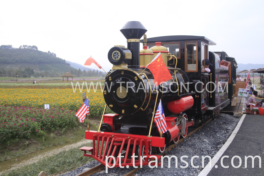 Rail Trains FLOWER GARDEN